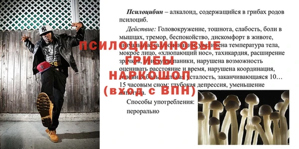 амф Белокуриха