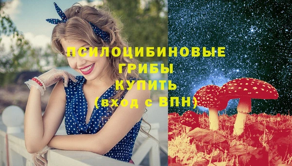 амф Белокуриха
